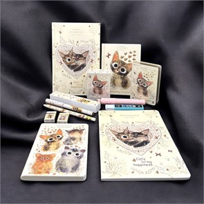 Подарочный набор коллеге «Модный офис — Милые Котики» ОФИС 04
